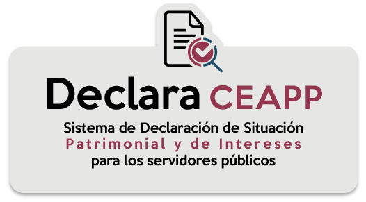 DeclaraCEAPP