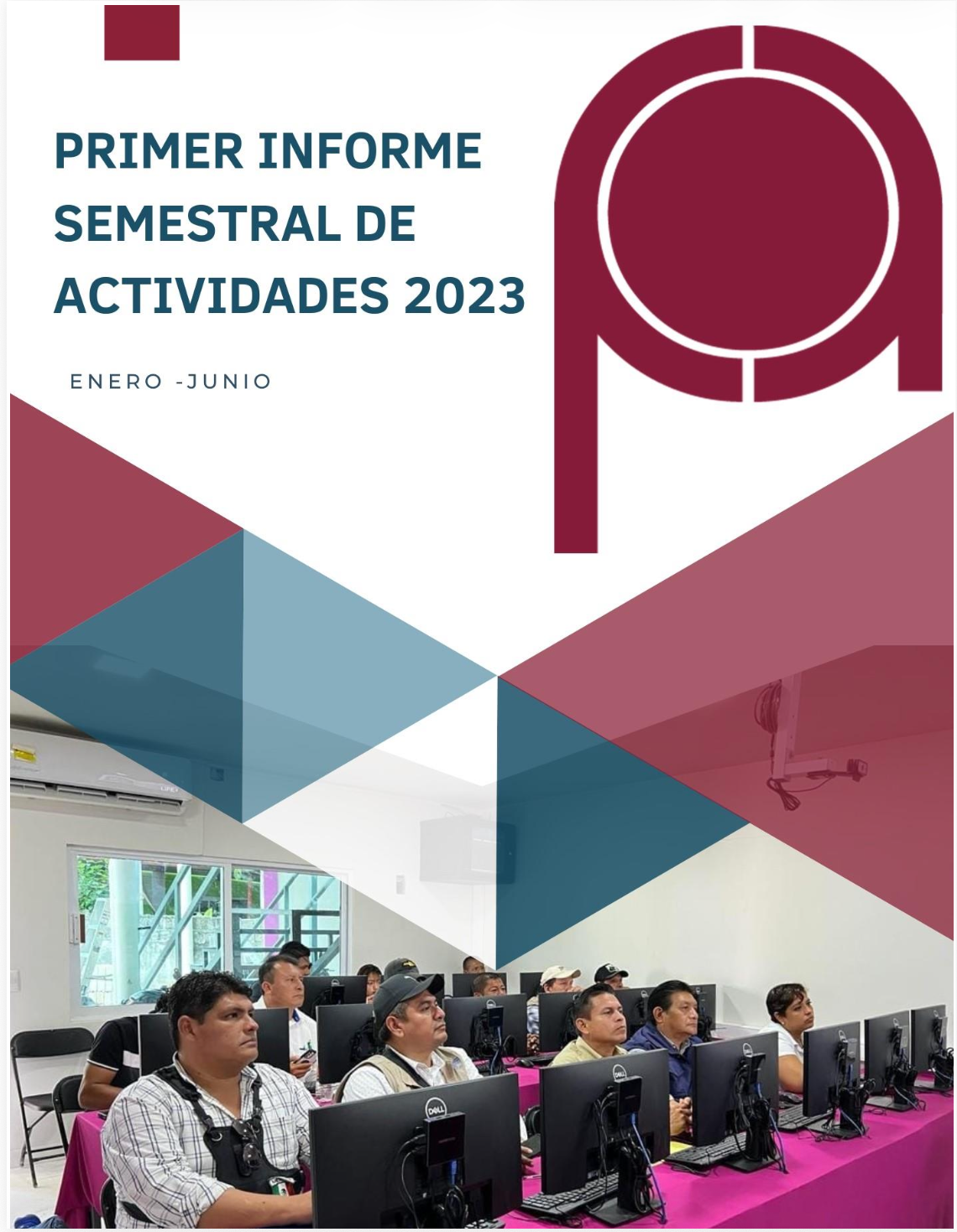 Informe 15