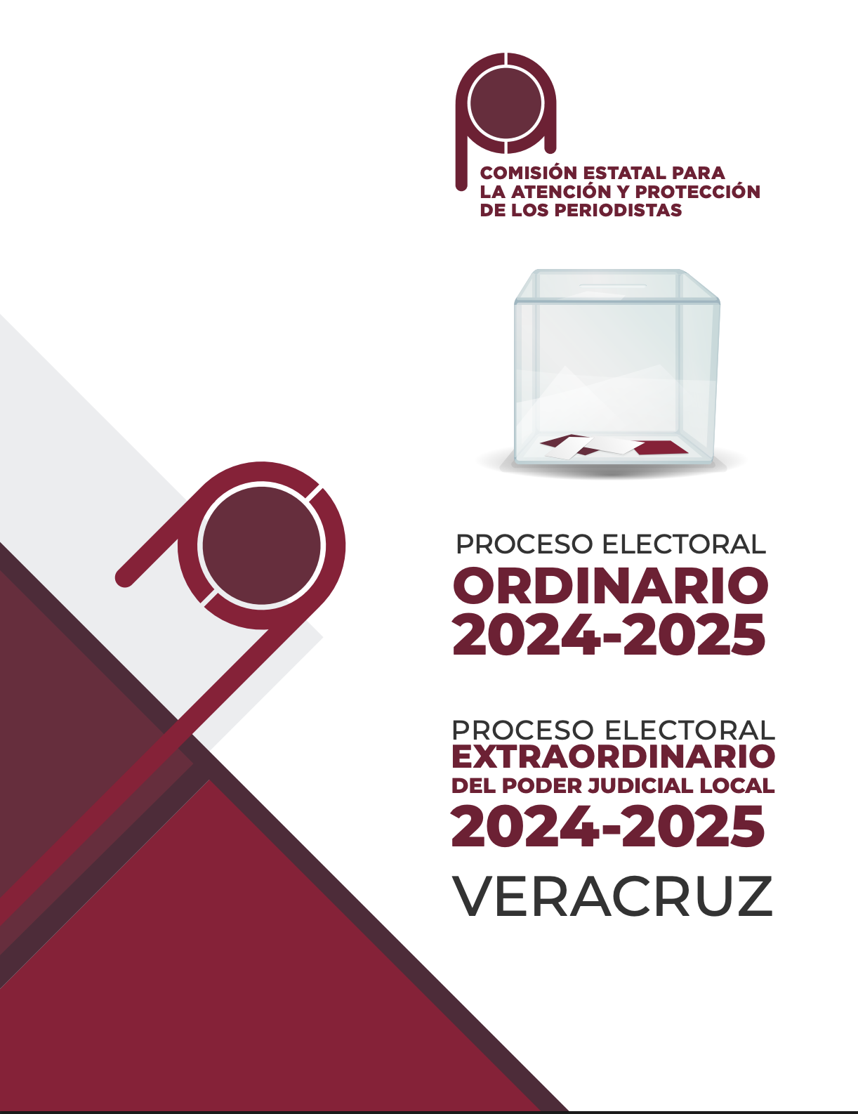 Proceso electoral ordinario 2024-2025 Veracruz